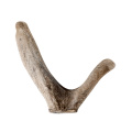 Best selling quality products deer antler pruning